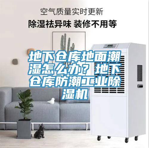 地下仓库地面潮湿怎么办？地下仓库防潮工业免费看操逼软件