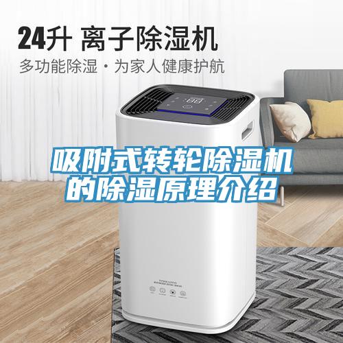 吸附式转轮免费看操逼软件的除湿原理介绍