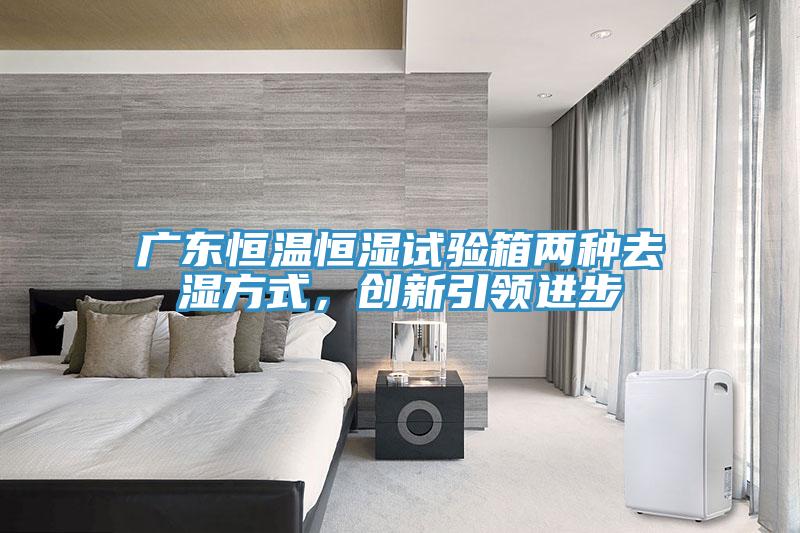 广东恒温恒湿试验箱两种去湿方式，创新引领进步