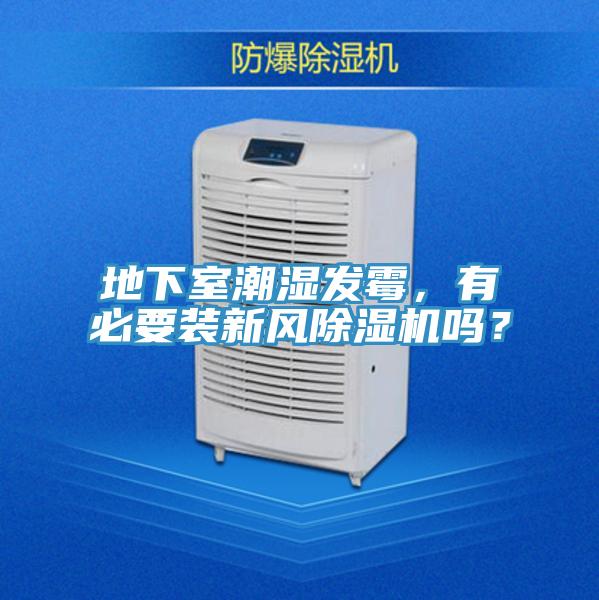 地下室潮湿发霉，有必要装新风免费看操逼软件吗？