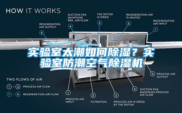 实验室太潮如何除湿？实验室防潮空气免费看操逼软件