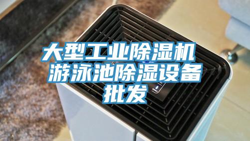 大型工业免费看操逼软件 游泳池除湿设备批发