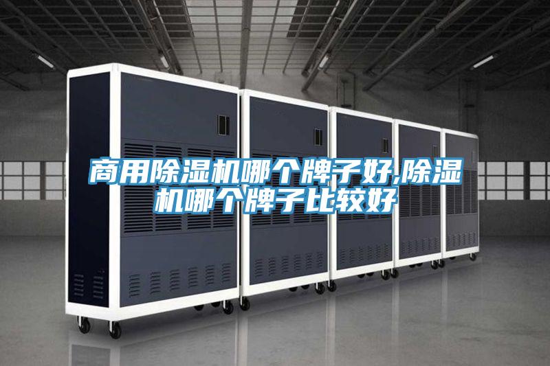 商用免费看操逼软件哪个牌子好,免费看操逼软件哪个牌子比较好