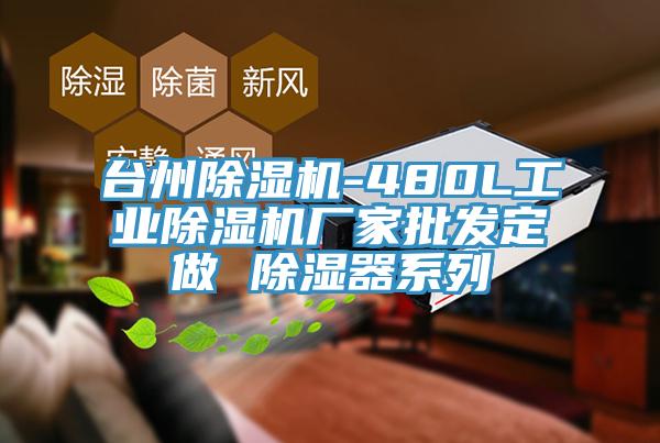 台州免费看操逼软件-480L工业免费看操逼软件厂家批发定做 除湿器系列