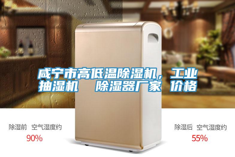 咸宁市高低温免费看操逼软件，工业抽湿机  除湿器厂家 价格