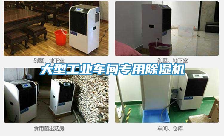 大型工业车间专用免费看操逼软件