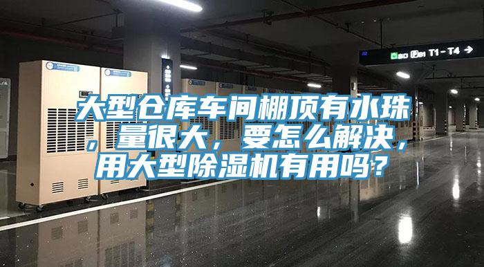 大型仓库车间棚顶有水珠，量很大，要怎么解决，用大型免费看操逼软件有用吗？