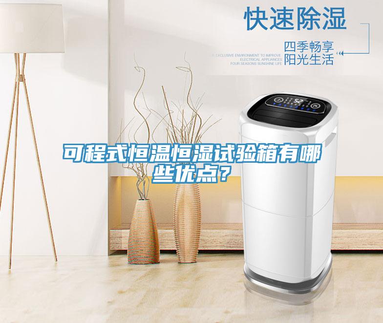 可程式恒温恒湿试验箱有哪些优点？