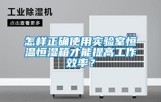 怎样正确使用实验室恒温恒湿箱才能提高工作效率？