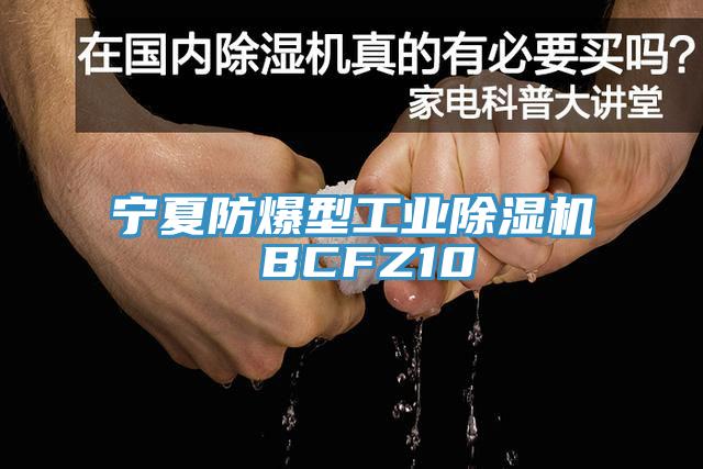 宁夏防爆型工业免费看操逼软件 BCFZ10