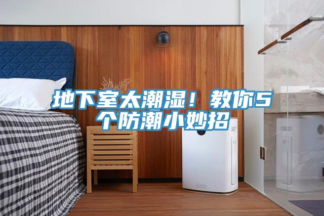 地下室太潮湿！教你5个防潮小妙招