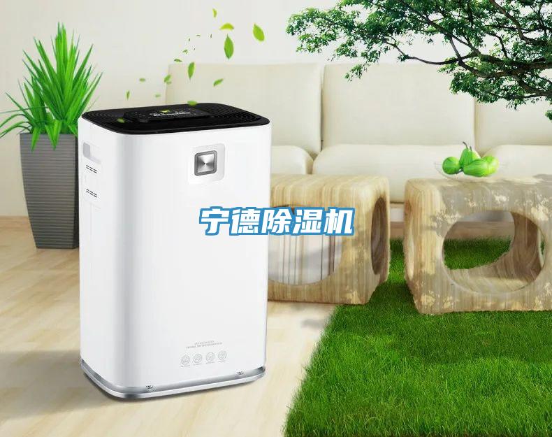 宁德免费看操逼软件