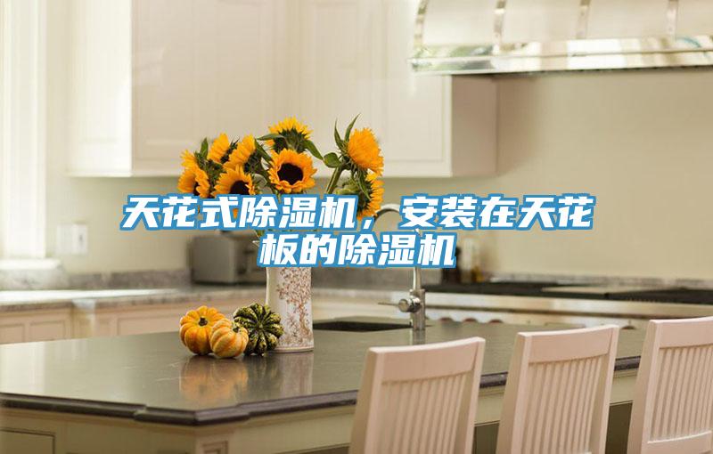 天花式免费看操逼软件，安装在天花板的免费看操逼软件
