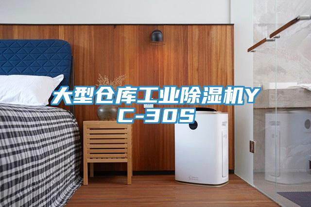 大型仓库工业免费看操逼软件YC-30S