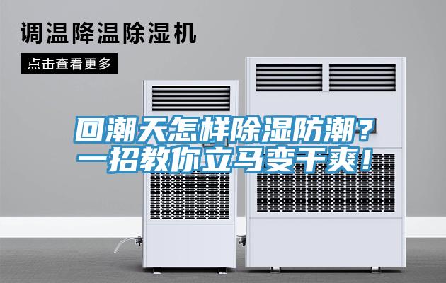 回潮天怎样除湿防潮？一招教你立马变干爽！