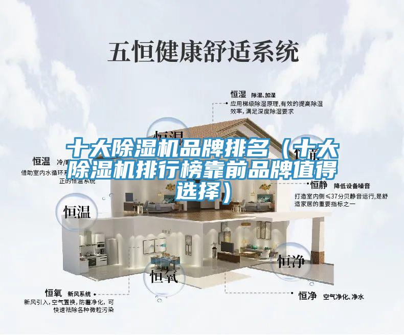 十大免费看操逼软件品牌排名（十大免费看操逼软件排行榜靠前品牌值得选择）