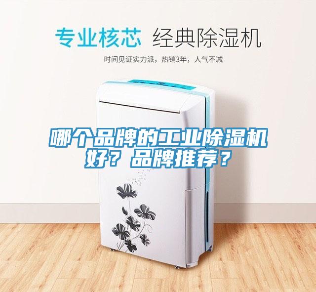 哪个品牌的工业免费看操逼软件好？品牌推荐？
