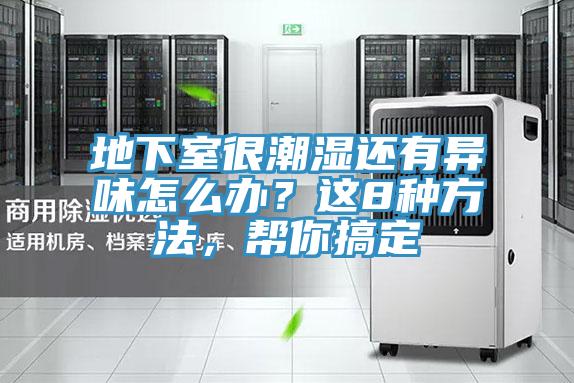 地下室很潮湿还有异味怎么办？这8种方法，帮你搞定