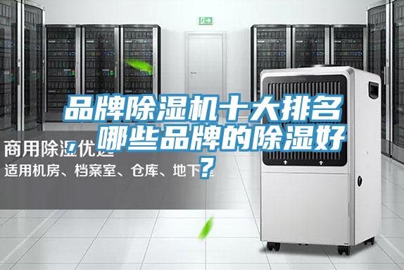 品牌免费看操逼软件十大排名，哪些品牌的除湿好？