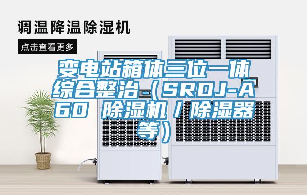 变电站箱体三位一体综合整治（SRDJ-A60 免费看操逼软件／除湿器等）