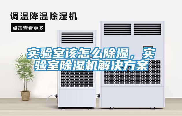 实验室该怎么除湿，实验室免费看操逼软件解决方案