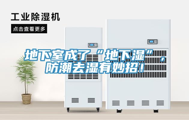 地下室成了“地下湿”，防潮去湿有妙招！
