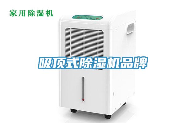 吸顶式免费看操逼软件品牌
