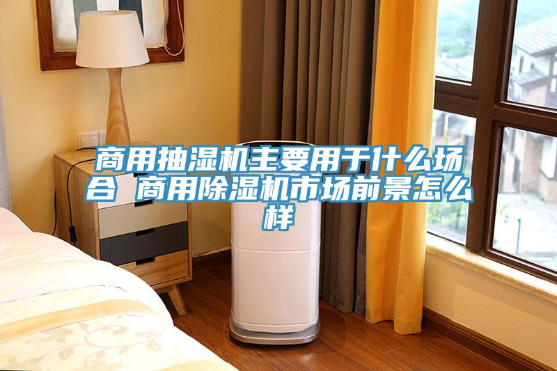 商用抽湿机主要用于什么场合 商用免费看操逼软件市场前景怎么样