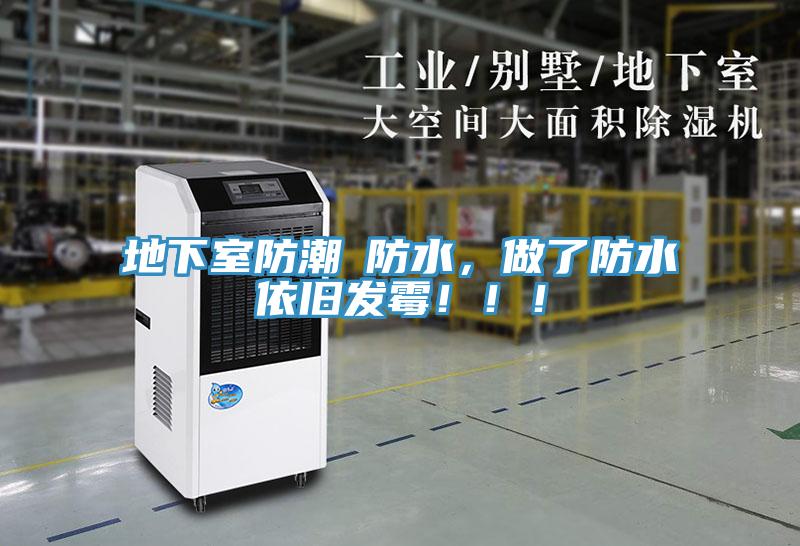 地下室防潮≠防水，做了防水依旧发霉！！！