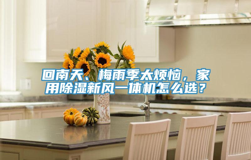 回南天、梅雨季太烦恼，家用除湿新风一体机怎么选？