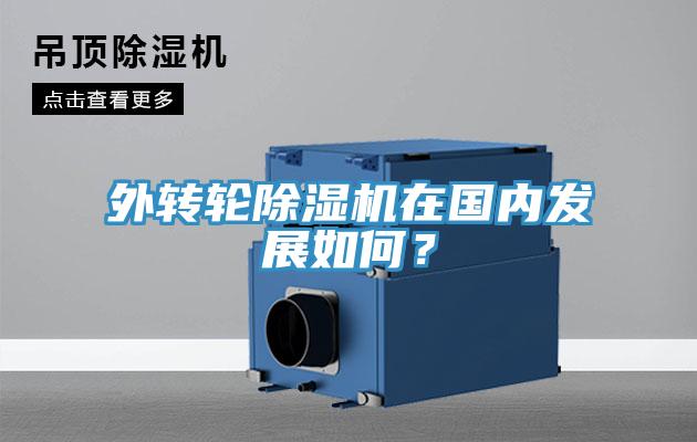 外转轮免费看操逼软件在国内发展如何？