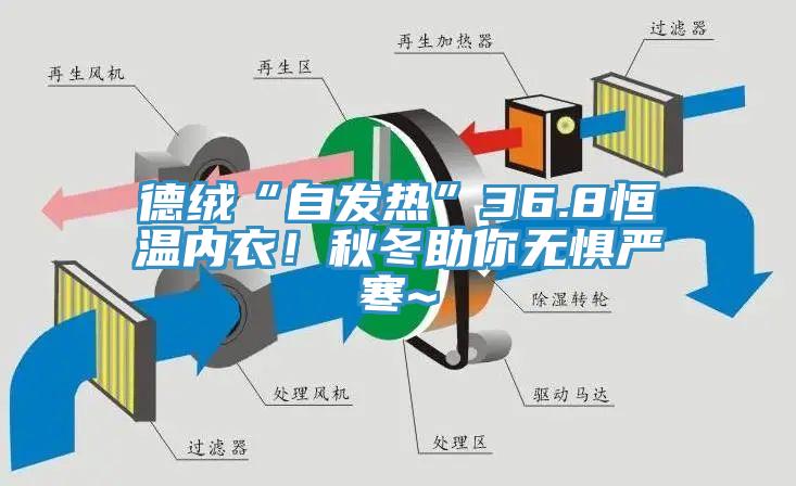 德绒“自发热”36.8恒温内衣！秋冬助你无惧严寒~