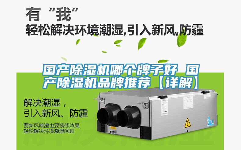 国产免费看操逼软件哪个牌子好 国产免费看操逼软件品牌推荐【详解】