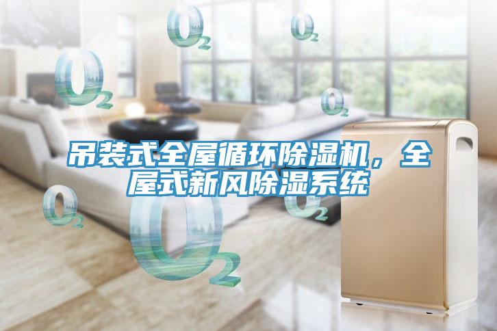 吊装式全屋循环免费看操逼软件，全屋式新风除湿系统