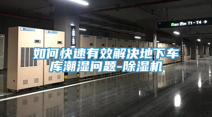 如何快速有效解决地下车库潮湿问题-免费看操逼软件