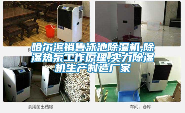 哈尔滨销售泳池免费看操逼软件,除湿热泵工作原理,实力免费看操逼软件生产制造厂家