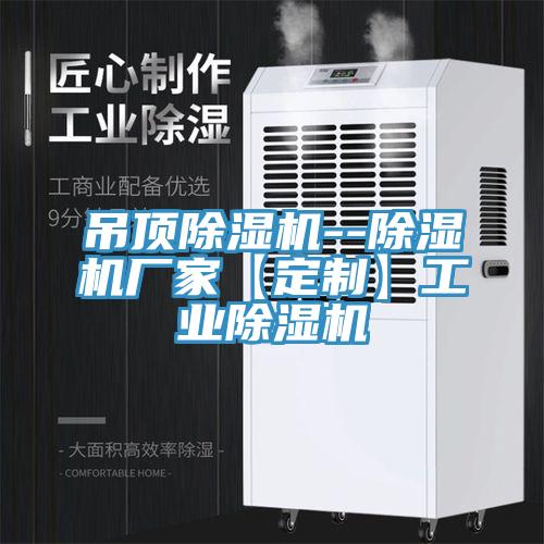 吊顶免费看操逼软件--免费看操逼软件厂家【定制】工业免费看操逼软件