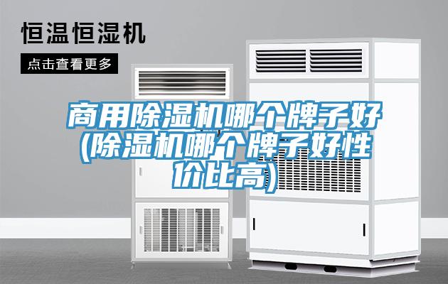 商用免费看操逼软件哪个牌子好(免费看操逼软件哪个牌子好性价比高)