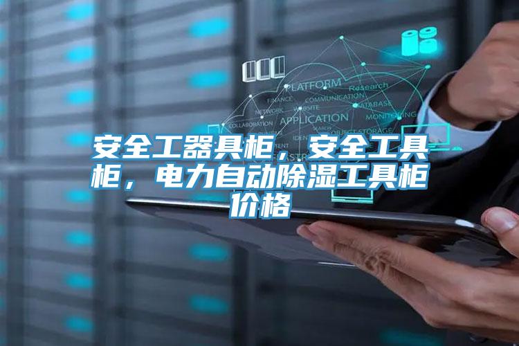 安全工器具柜，安全工具柜，电力自动除湿工具柜价格
