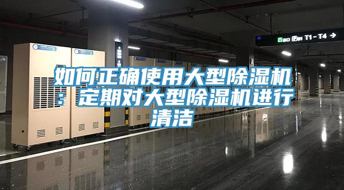 如何正确使用大型免费看操逼软件：定期对大型免费看操逼软件进行清洁