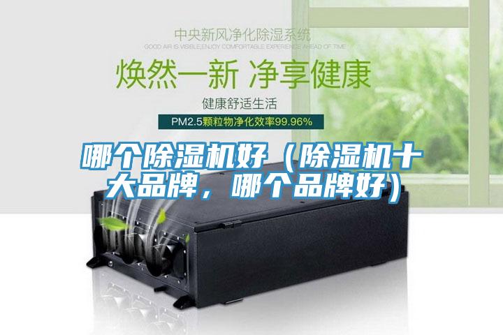 哪个免费看操逼软件好（免费看操逼软件十大品牌，哪个品牌好）