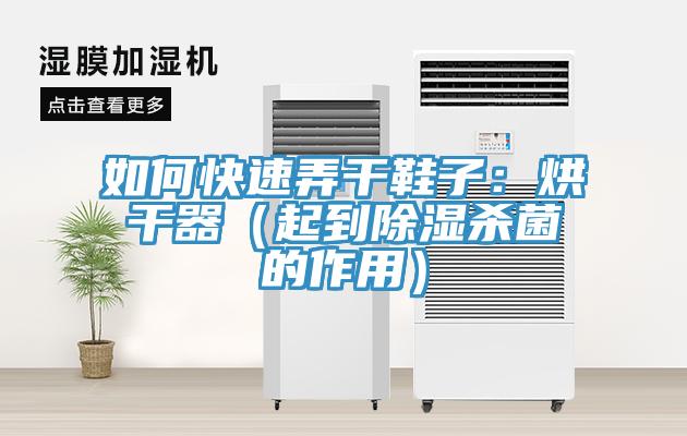 如何快速弄干鞋子：烘干器（起到除湿杀菌的作用）
