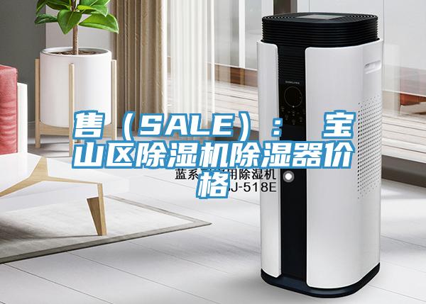 售（SALE）： 宝山区免费看操逼软件除湿器价格