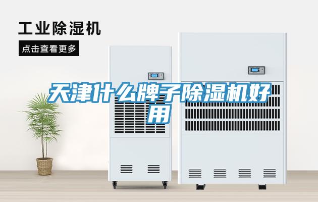 天津什么牌子免费看操逼软件好用