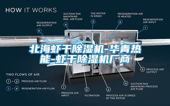 北海虾干免费看操逼软件-华青热能-虾干免费看操逼软件厂商