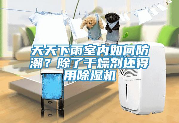 天天下雨室内如何防潮？除了干燥剂还得用免费看操逼软件