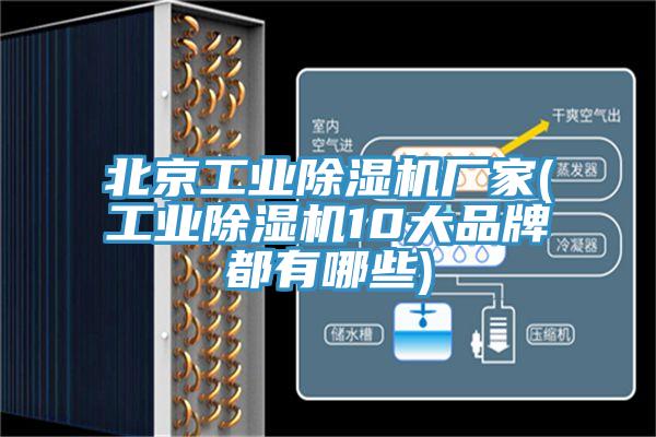 北京工业免费看操逼软件厂家(工业免费看操逼软件10大品牌都有哪些)