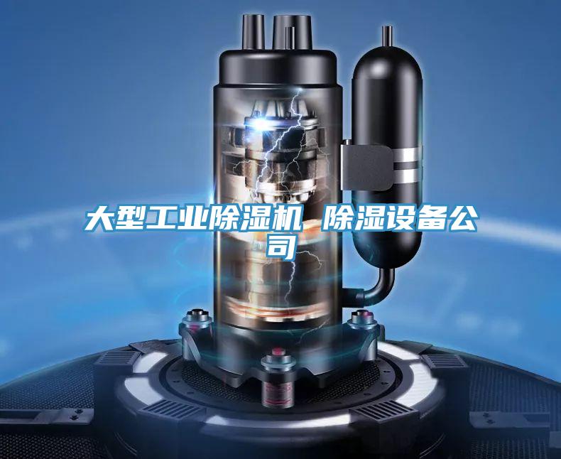 大型工业免费看操逼软件 除湿设备公司