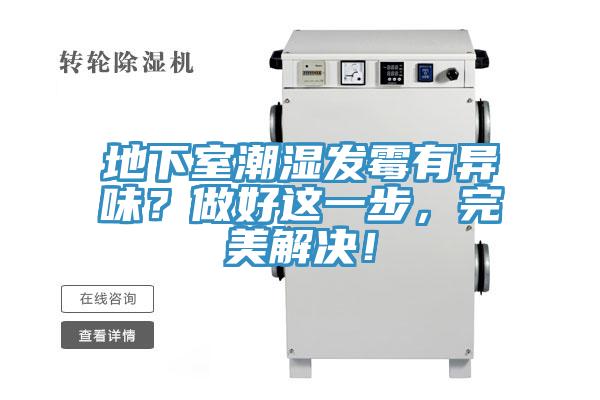 地下室潮湿发霉有异味？做好这一步，完美解决！