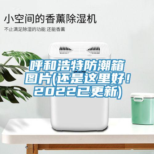 呼和浩特防潮箱图片(还是这里好！2022已更新)